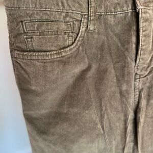 Anthropologie skinny leg cords